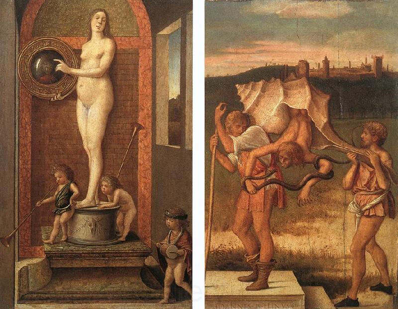 BELLINI, Giovanni Four Allegories: Prudence and Falsehood Spain oil painting art